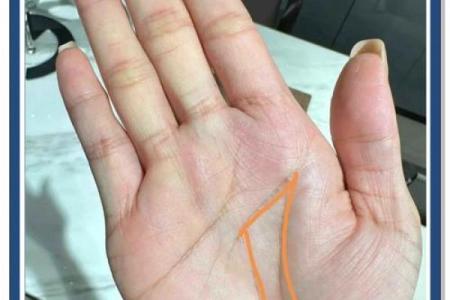揭秘中老年富贵手相，财运亨通的秘密就在这里
