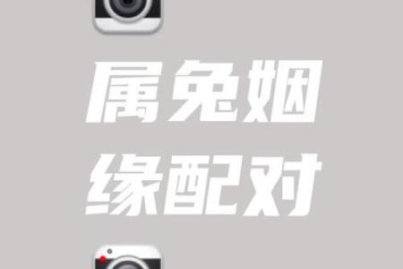 兔年最佳伴侣：揭秘与兔属相最匹配的属相