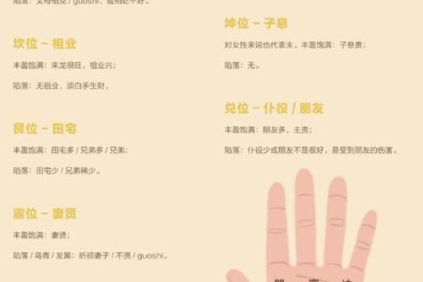 揭秘手相奥秘：后天命运，手相中的秘密