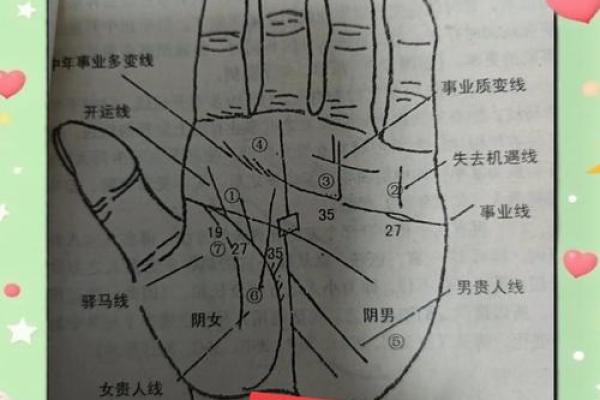 揭秘手相奥秘：后天命运，手相中的秘密