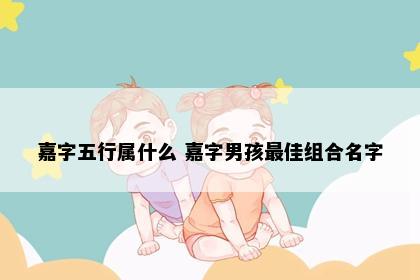 嘉字五行属什么 嘉字男孩最佳组合名字