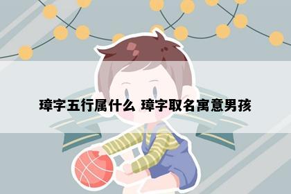 璋字五行属什么 璋字取名寓意男孩