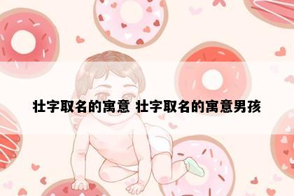 壮字取名的寓意 壮字取名的寓意男孩