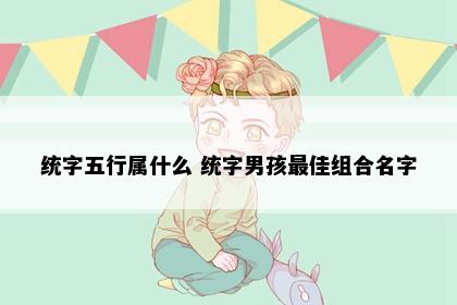 统字五行属什么 统字男孩最佳组合名字