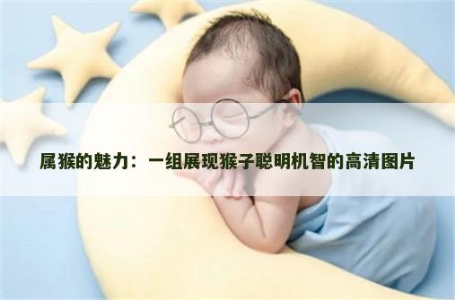 属猴的魅力：一组展现猴子聪明机智的高清图片