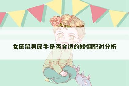 女属鼠男属牛是否合适的婚姻配对分析