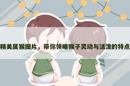 精美属猴图片，带你领略猴子灵动与活泼的特点