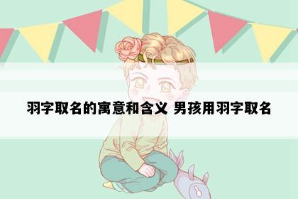 羽字取名的寓意和含义 男孩用羽字取名