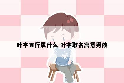 叶字五行属什么 叶字取名寓意男孩