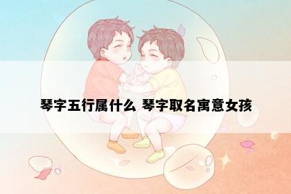 琴字五行属什么 琴字取名寓意女孩