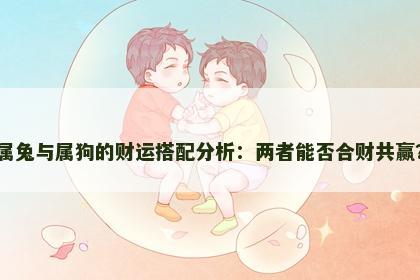 属兔与属狗的财运搭配分析：两者能否合财共赢？