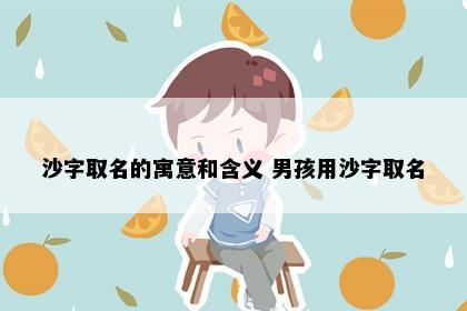 沙字取名的寓意和含义 男孩用沙字取名