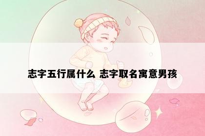志字五行属什么 志字取名寓意男孩