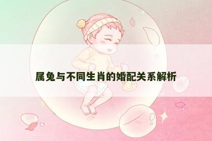 属兔与不同生肖的婚配关系解析