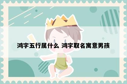 鸿字五行属什么 鸿字取名寓意男孩