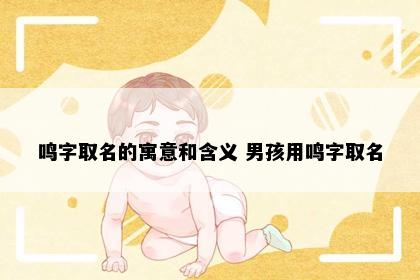 鸣字取名的寓意和含义 男孩用鸣字取名