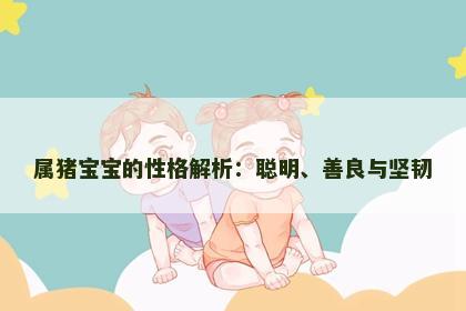 属猪宝宝的性格解析：聪明、善良与坚韧