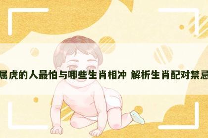 属虎的人最怕与哪些生肖相冲 解析生肖配对禁忌
