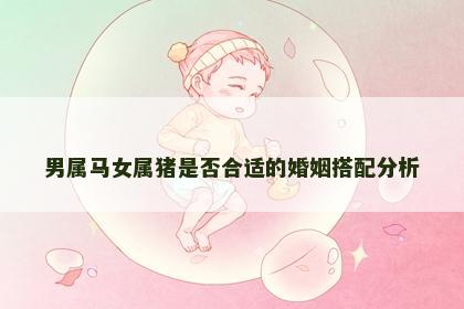 男属马女属猪是否合适的婚姻搭配分析