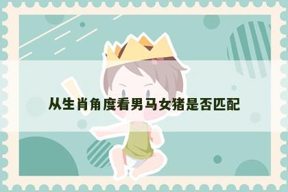 从生肖角度看男马女猪是否匹配