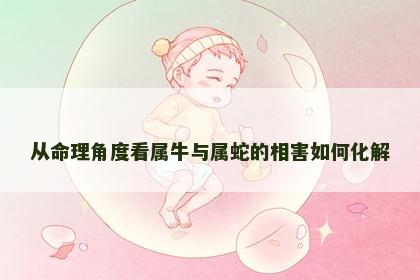 从命理角度看属牛与属蛇的相害如何化解