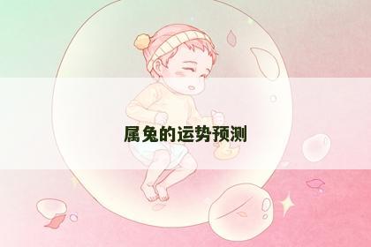 属兔的运势预测