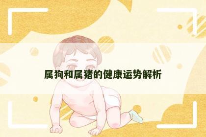 属狗和属猪的健康运势解析