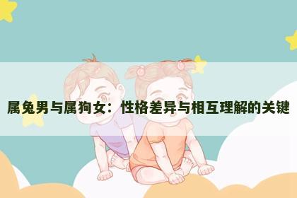 属兔男与属狗女：性格差异与相互理解的关键