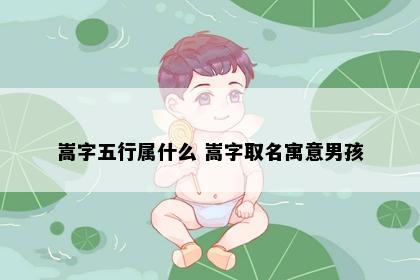 嵩字五行属什么 嵩字取名寓意男孩