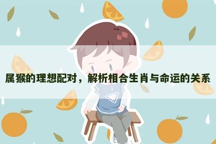 属猴的理想配对，解析相合生肖与命运的关系