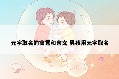 元字取名的寓意和含义 男孩用元字取名