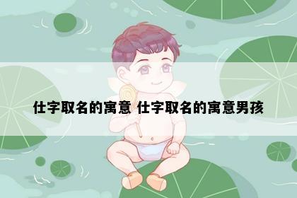 仕字取名的寓意 仕字取名的寓意男孩