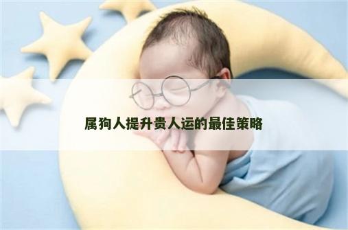属狗人提升贵人运的最佳策略