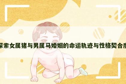 探索女属猪与男属马婚姻的命运轨迹与性格契合度