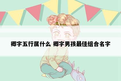 卿字五行属什么 卿字男孩最佳组合名字
