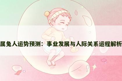 属兔人运势预测：事业发展与人际关系运程解析