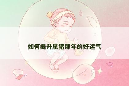 如何提升属猪那年的好运气