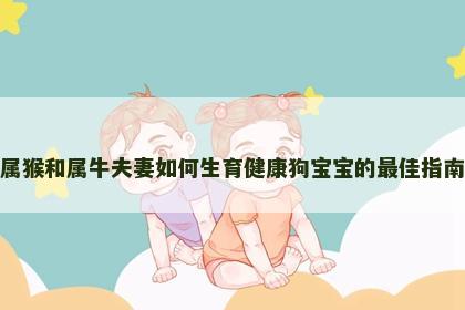 属猴和属牛夫妻如何生育健康狗宝宝的最佳指南