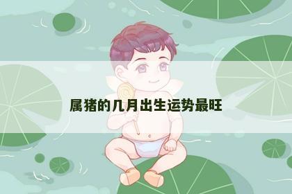 属猪的几月出生运势最旺