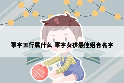 葶字五行属什么 葶字女孩最佳组合名字