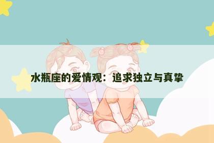 水瓶座的爱情观：追求独立与真挚