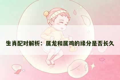 生肖配对解析：属龙和属鸡的缘分是否长久