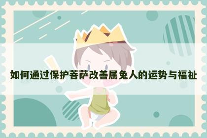 如何通过保护菩萨改善属兔人的运势与福祉