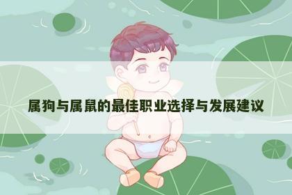属狗与属鼠的最佳职业选择与发展建议