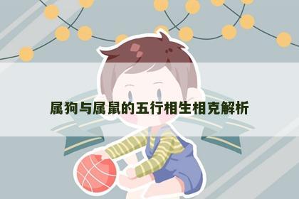 属狗与属鼠的五行相生相克解析