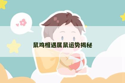 鼠鸡相遇属鼠运势揭秘