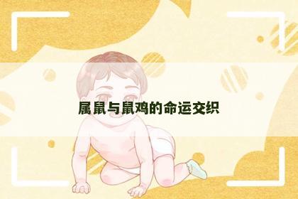 属鼠与鼠鸡的命运交织