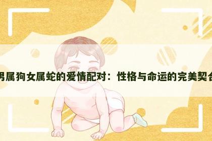 男属狗女属蛇的爱情配对：性格与命运的完美契合