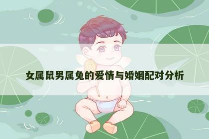 女属鼠男属兔的爱情与婚姻配对分析