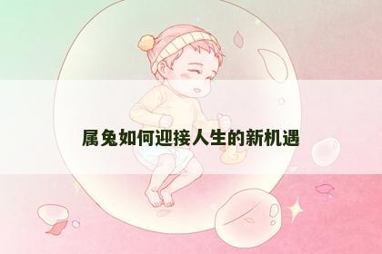 属兔如何迎接人生的新机遇